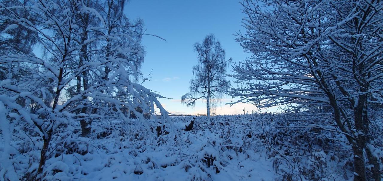 Torcroft Lodges Drumnadrochit Exteriör bild