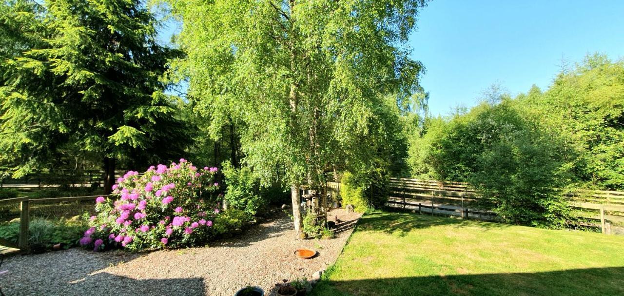 Torcroft Lodges Drumnadrochit Exteriör bild