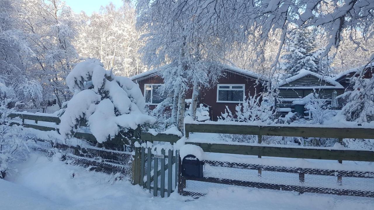 Torcroft Lodges Drumnadrochit Exteriör bild