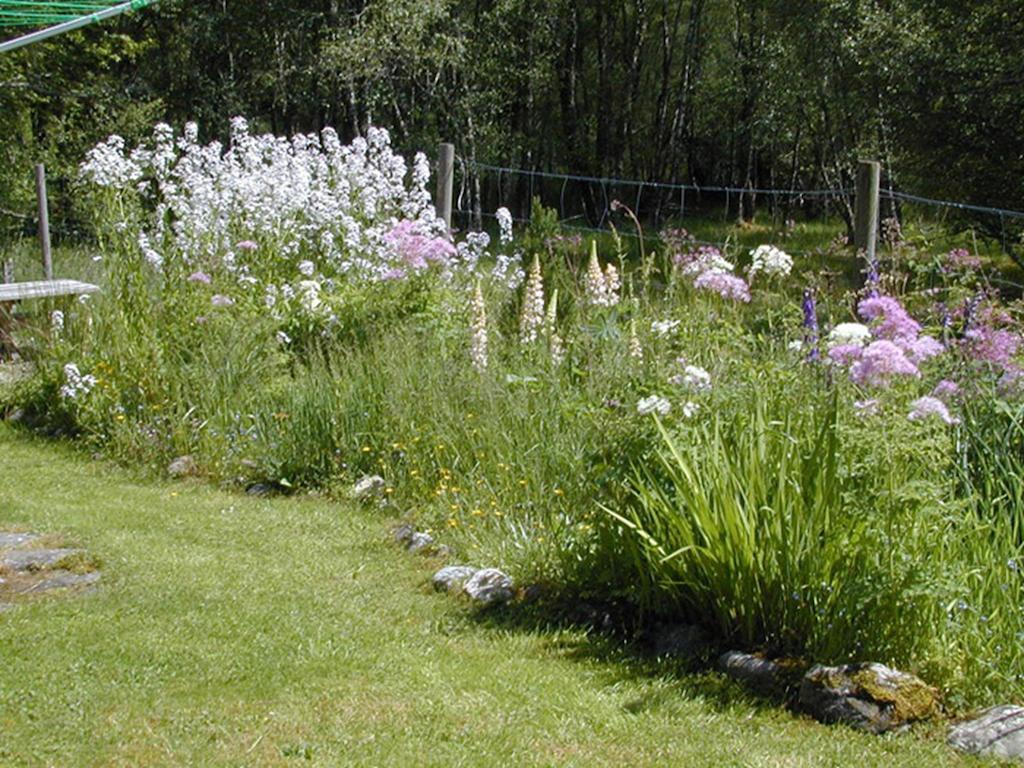 Torcroft Lodges Drumnadrochit Rum bild