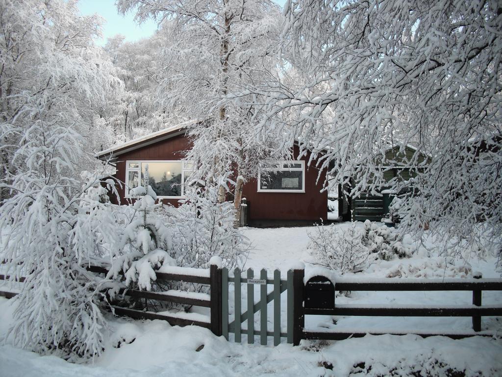 Torcroft Lodges Drumnadrochit Rum bild